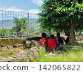 A group of children sat together under a banyan tree.. 142065822