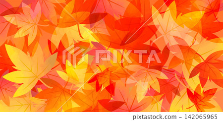 Illustration of fallen autumn leaves: ginkgo and maple leaves Illustration of fallen autumn leaves: ginkgo and maple leaves 142065965