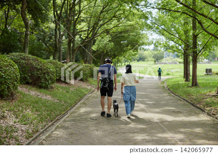 夏日清晨,一對中年夫妻在公園遛狗。 夏日清晨,一對中年夫妻在公園遛狗。 142065977