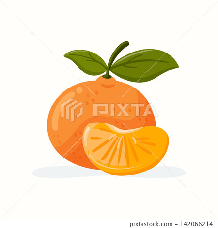 Isolated mandarin orange fruit vector illustration with slice 142066214