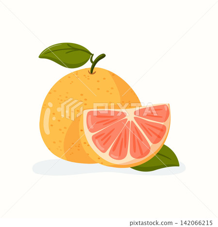 Isolated ruby red grapefruit vector illustration with slice Isolated ruby red grapefruit vector illustration with slice 142066215