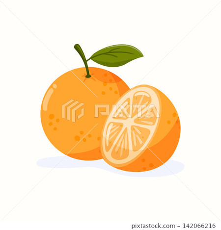 Whole and half orange fruit vector illustration Whole and half orange fruit vector illustration 142066216