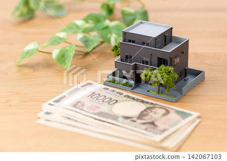 Money and housing Money and housing 142067103