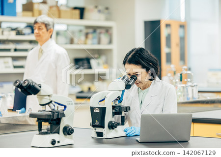 A female researcher in her 50s, wearing a white lab coat, peers through a microscope. A female researcher in her 50s, wearing a white lab coat, peers through a microscope. 142067129