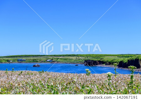 根室半島茶子遺址週邊地區遊覽 根室半島茶子遺址週邊地區遊覽 142067191