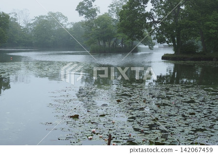 Onuma Park in the Mist Onuma Park in the Mist 142067459