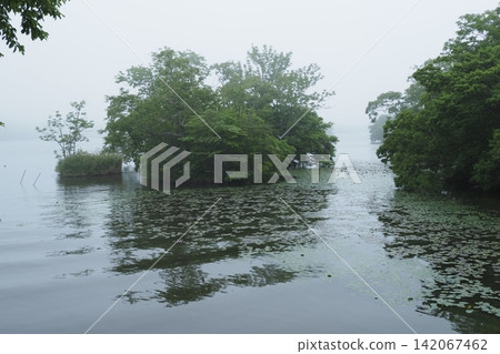 Onuma Park in the Mist Onuma Park in the Mist 142067462