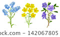 set of spring flowers isolated on white background 142067805