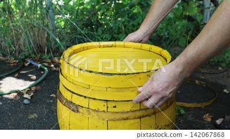 Men's hands close or open the lid of a wooden barrel, painted bright yellow. The container is held together with hoops and stands outside against a backdrop of green garden grass, leaves, and a hose. Men's hands close or open the lid of a wooden barrel, painted bright yellow. The container is held together with hoops and stands outside against a backdrop of green garden grass, leaves, and a hose. 142067868