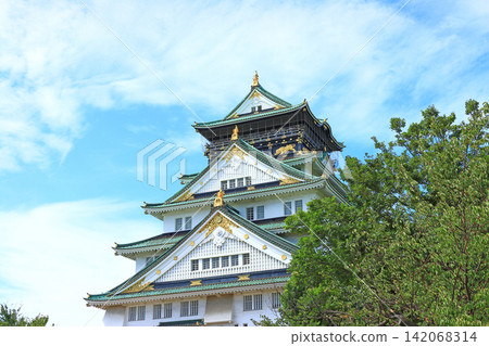 Scenery of Osaka Castle, Osaka City, Osaka Prefecture Scenery of Osaka Castle, Osaka City, Osaka Prefecture 142068314