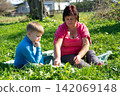 Woman and boy immersed in a book outdoors, surrounded by lush grass, creating a peaceful and educational scene in nature. 142069148