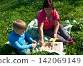Woman and child enjoy a relaxing moment in nature, creating a nature journal filled with pressed leaves on a sunny day in the green grass. 142069149