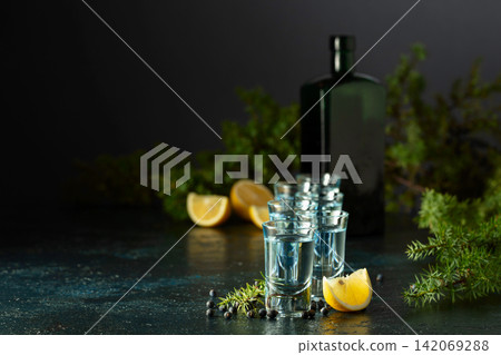 Gin with juniper berries, lemon slices, and vintage bottle. Gin with juniper berries, lemon slices, and vintage bottle. 142069288