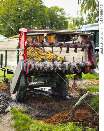 Agricultural manure spreader loaded with grape pomace illustrates organic fertilizer distribution and vineyard recycling. Agricultural manure spreader loaded with grape pomace illustrates organic fertilizer distribution and vineyard recycling. 142069646