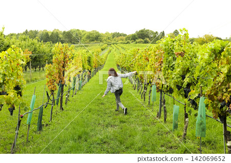 Young woman running through vineyard rows, illustrating outdoor activity and a rural wine area lifestyle in a scenic setting. Young woman running through vineyard rows, illustrating outdoor activity and a rural wine area lifestyle in a scenic setting. 142069652