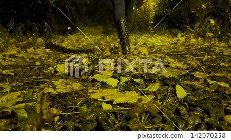 Female feet in boots going on fallen leaves at evening country road. Legs of young woman stepping on yellow foliage at autumn night with illuminated street lamps. Slow motion 142070258