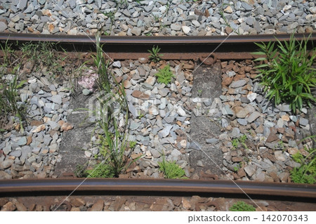鐵路運輸 鐵路運輸 142070343