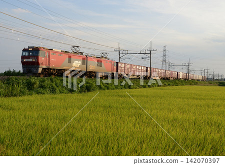 Freight train running in the country scenery 142070397