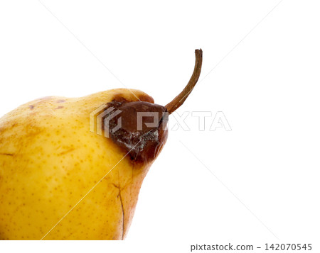 Rotten pear on a white background. Rotten pear on a white background. 142070545
