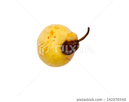 Rotten pear on a white background. Rotten pear on a white background. 142070548