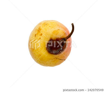 Rotten pear on a white background. Rotten pear on a white background. 142070549