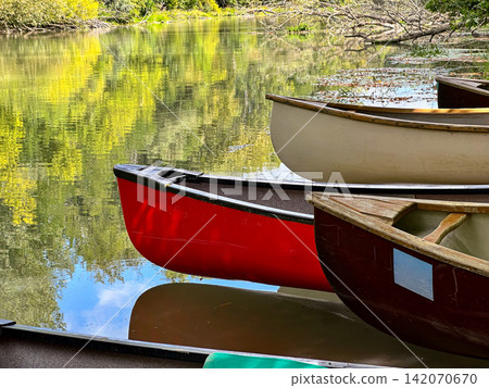 Colorful Canoes Moored on Calm Forest River Colorful Canoes Moored on Calm Forest River 142070670