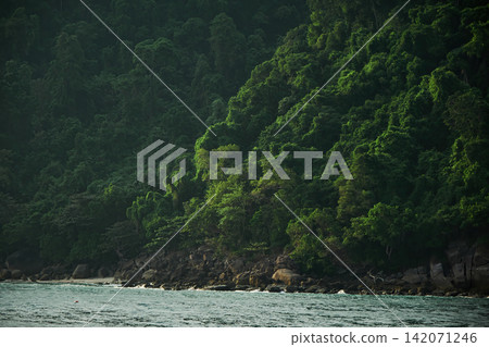 natural freshness scene of some part of an island with many green trees and rocky shore and sea in a shade and light from sunshine 142071246