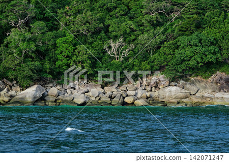 natural rocky shore with green trees forest over blue sea with many waves natural rocky shore with green trees forest over blue sea with many waves 142071247