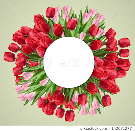 A circular frame of red and pink tulips with green leaves and a round white space for text in the center A circular frame of red and pink tulips with green leaves and a round white space for text in the center 142071277