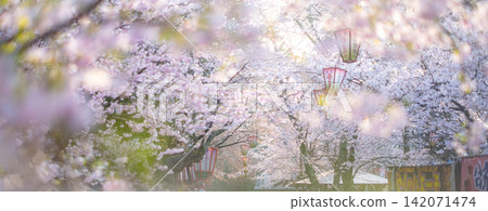 Spring scenery of Utsubuki Park (Kurayoshi City) Spring scenery of Utsubuki Park (Kurayoshi City) 142071474