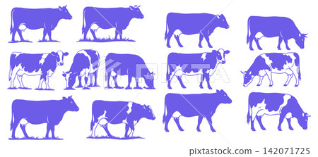 Collection of standing and grazing dairy cow silhouettes for farm and livestock branding graphic projects Collection of standing and grazing dairy cow silhouettes for farm and livestock branding graphic projects 142071725
