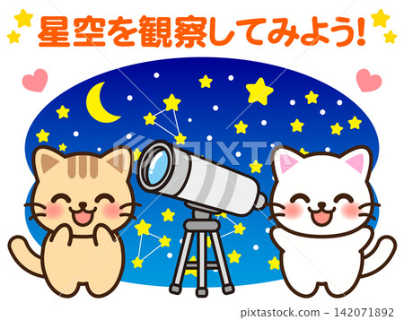 貓咪仰望星空的插圖 貓咪仰望星空的插圖 142071892