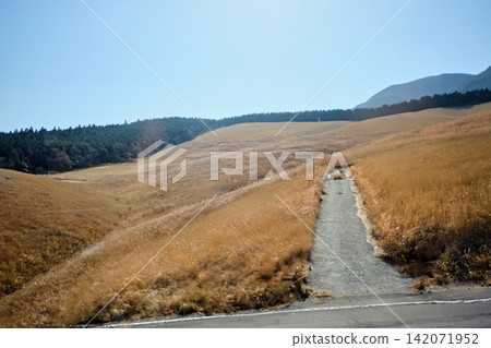 small alley road through the golden grass field of the mountain in clear blue sky 142071952