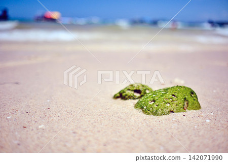 green algae cover small rock that put on the sandy beach of the small island with blurred background blue sky green algae cover small rock that put on the sandy beach of the small island with blurred background blue sky 142071990