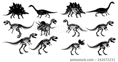 Collection of dinosaur silhouettes and detailed skeletal remains for scientific illustration or educational museum displays Collection of dinosaur silhouettes and detailed skeletal remains for scientific illustration or educational museum displays 142072231