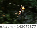 Adventurer Ziplining Through Forest Canopy 142072377