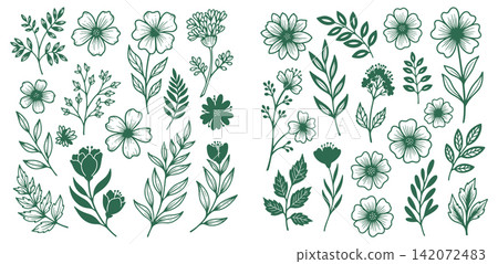 Botanical hand drawn floral element collection for nature themed stationery and eco friendly brand designs Botanical hand drawn floral element collection for nature themed stationery and eco friendly brand designs 142072483