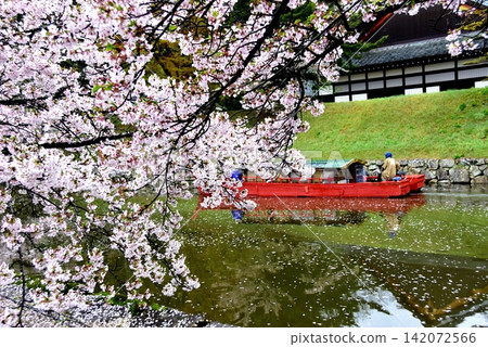 Shiga Prefecture: Hikone Castle moat, cherry blossoms in full bloom, and a pleasure boat Shiga Prefecture: Hikone Castle moat, cherry blossoms in full bloom, and a pleasure boat 142072566