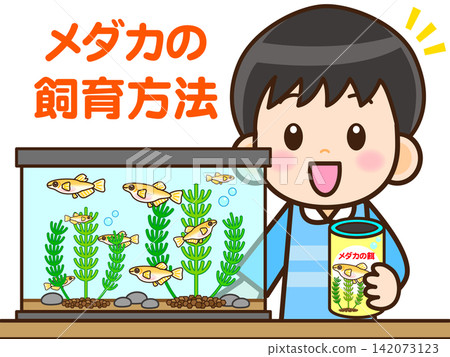 Illustration of a boy observing killifish (3) Illustration of a boy observing killifish (3) 142073123