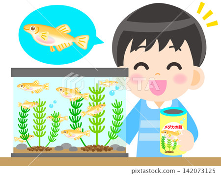 Illustration of a boy observing killifish Illustration of a boy observing killifish 142073125
