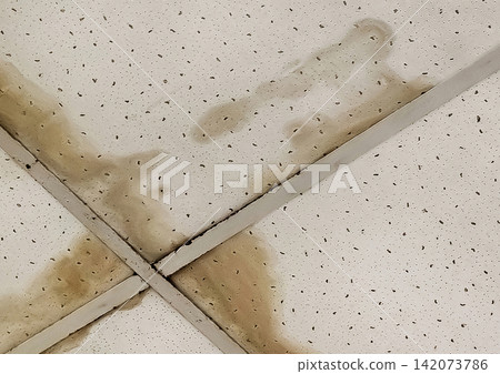 Leaking ceiling, old dirty water on the roof or flooding of neighbors, ceiling repair Leaking ceiling, old dirty water on the roof or flooding of neighbors, ceiling repair 142073786