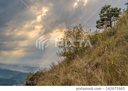 Summer Mountains Landscape with Green forest. Summer Mountains Landscape with Green forest. 142073985