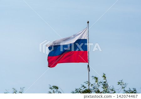 Russian tricolor flag waving in the wind against a blue sky. Fieldbird sits on a branch in spring with a blurred background. Russian tricolor flag waving in the wind against a blue sky. Fieldbird sits on a branch in spring with a blurred background. 142074467