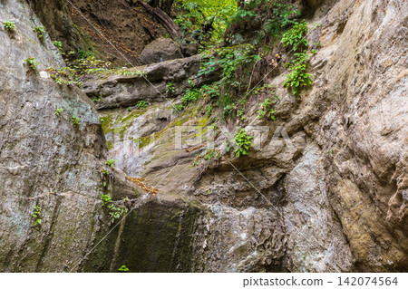 View of the cliffs and grottoes in Kislovodsk. Majestic rocky cliffs and towering trees against blue sky. View of the rocks in Kislovodsk, Russia. View of the cliffs and grottoes in Kislovodsk. Majestic rocky cliffs and towering trees against blue sky. View of the rocks in Kislovodsk, Russia. 142074564