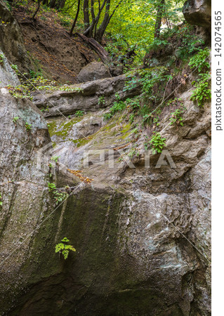 View of the cliffs and grottoes in Kislovodsk. Majestic rocky cliffs and towering trees against blue sky. View of the rocks in Kislovodsk, Russia. View of the cliffs and grottoes in Kislovodsk. Majestic rocky cliffs and towering trees against blue sky. View of the rocks in Kislovodsk, Russia. 142074565