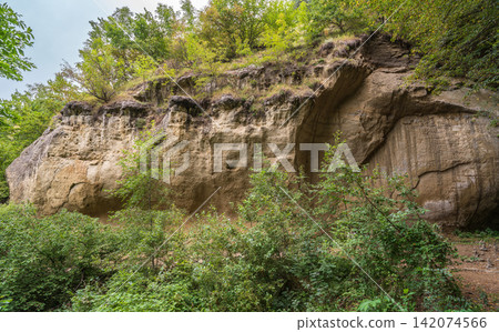 View of the cliffs and grottoes in Kislovodsk. Majestic rocky cliffs and towering trees against blue sky. View of the rocks in Kislovodsk, Russia. View of the cliffs and grottoes in Kislovodsk. Majestic rocky cliffs and towering trees against blue sky. View of the rocks in Kislovodsk, Russia. 142074566