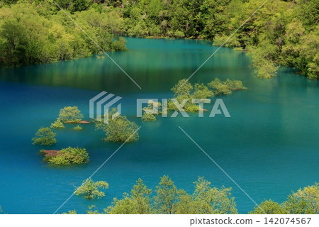 深藍色的湖水和水下樹木 深藍色的湖水和水下樹木 142074567