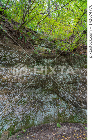 Hillside cross section reveals layered soil and rock beneath dense greenery. Exposed roots and erosion patterns highlight nature slow sculpting over time Hillside cross section reveals layered soil and rock beneath dense greenery. Exposed roots and erosion patterns highlight nature slow sculpting over time 142074776