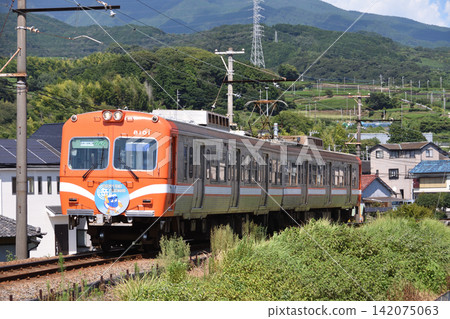 岳南鐵道8000系列車夏季沿堤岸行駛 142075063
