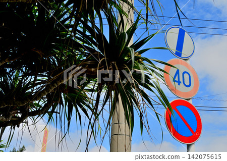 Road signs and pandanus Road signs and pandanus 142075615